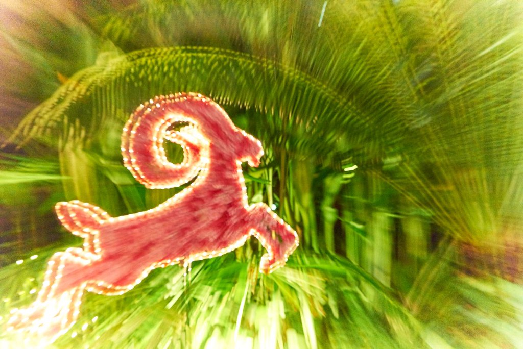 16383456350_9c00861c61_b.jpg