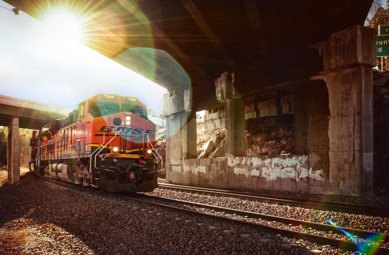 Nikon-D1-BNSF-05-800x525.jpg