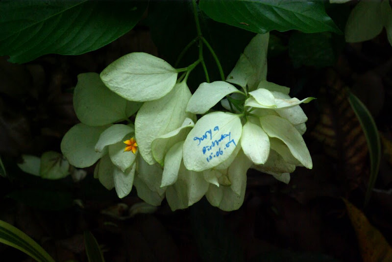 IMGP0034.jpg