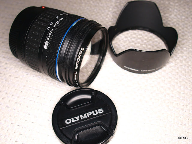 PA102357.JPG