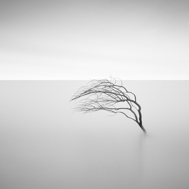 6569847561_f1e2a23bf9_z.jpg