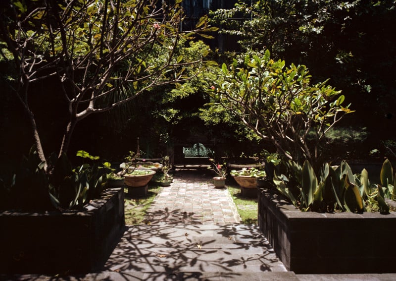 Zone-shot_Dora_Goodman_014-800x567.jpg