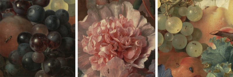 flowers-800x267.jpg