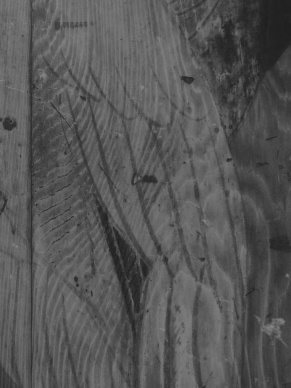 gfx100-ir_news-content_IR2-600x800.jpg