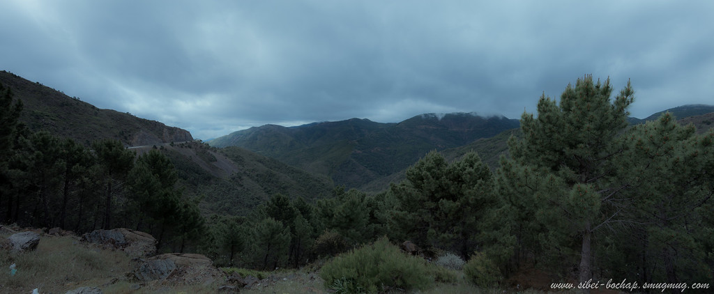 DSC_9637-Edit-XL.jpg