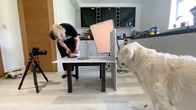 Pancake-Shoot-BTS-Dog-copy-800x449.jpg