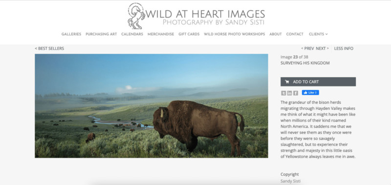Screen-Shot-2021-11-18-at-12.39.09-PM-800x379.jpg