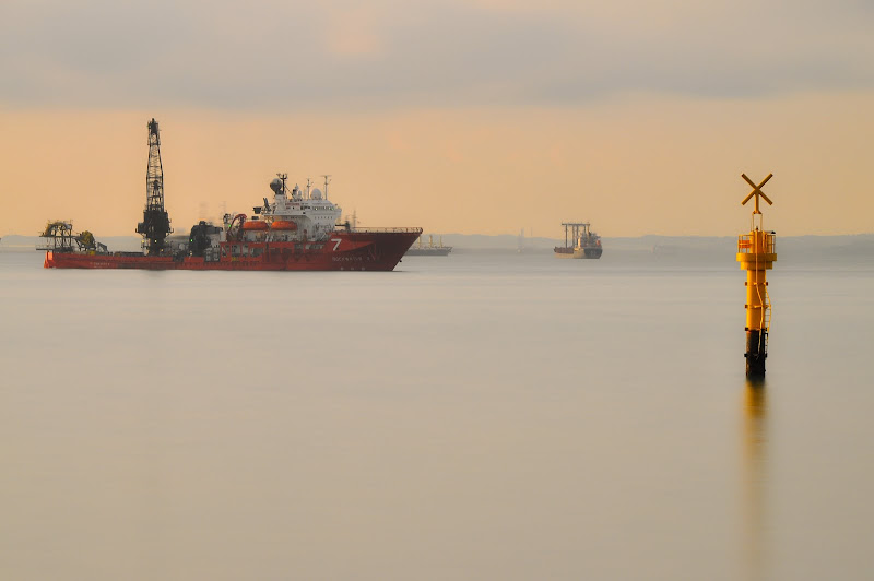 DSC_9930.jpg