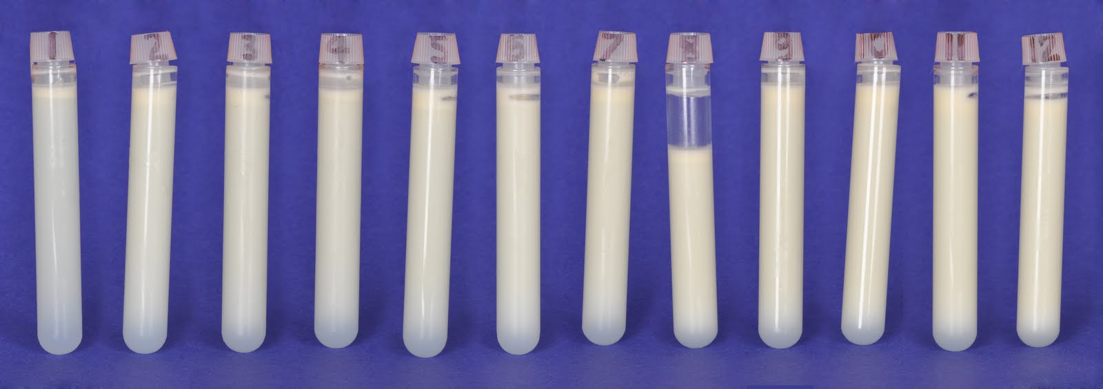 test+tubes.jpg