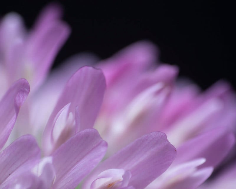 0003_04PringlesLampIMG_6948.CR2_-800x640.jpg
