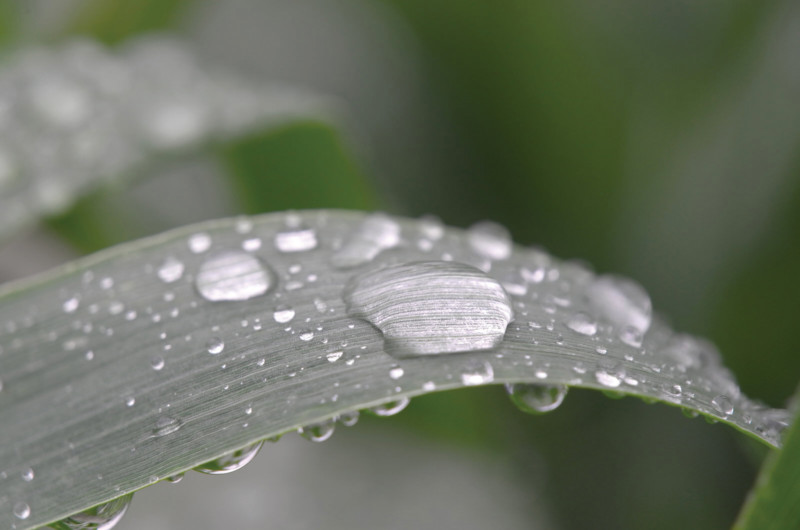 L9991181_AP-800x530.jpg
