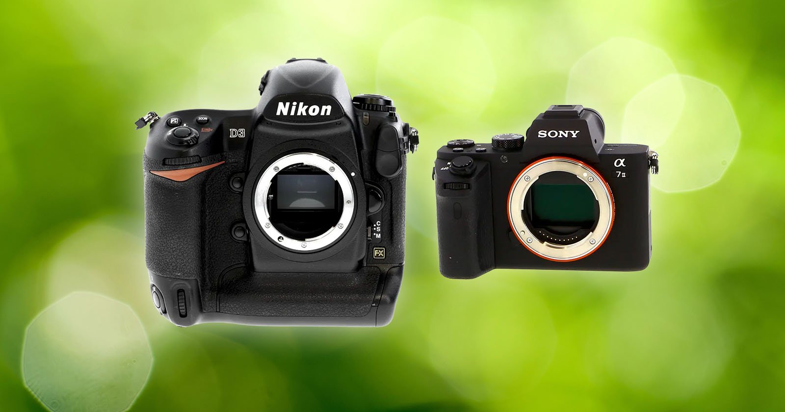 Two digital cameras, a Nikon DSLR body on the left and a Sony mirrorless camera body on the right, are displayed side by side against a blurred green background.