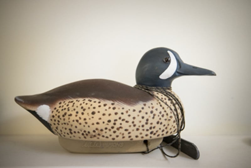 Walter-the-Duck-800x534.jpg