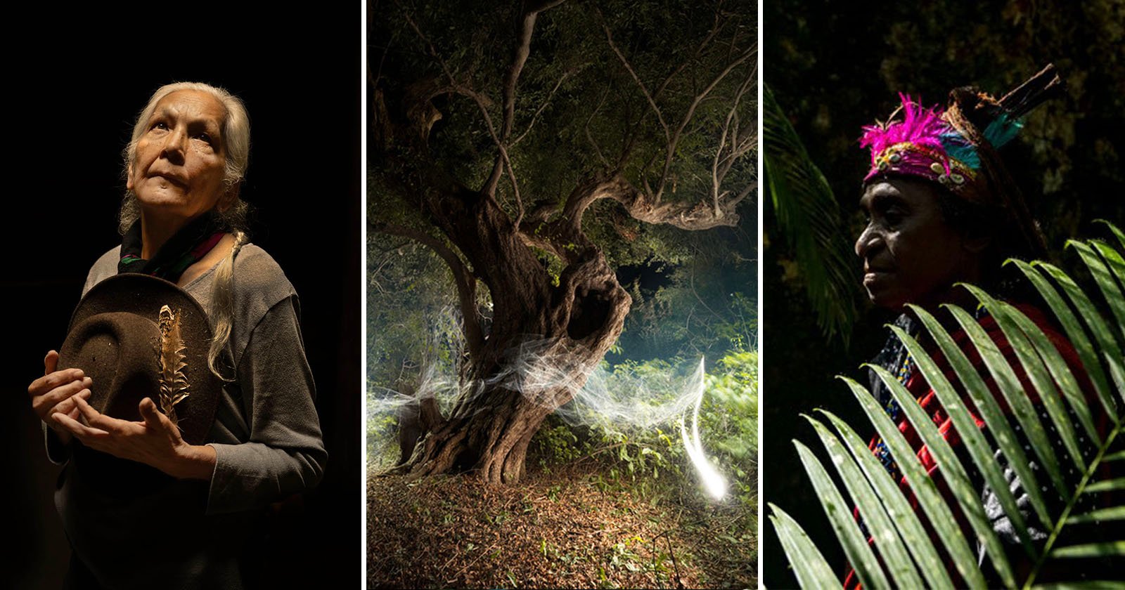 Three-panel image: left, an elderly woman holding a hat looks upward in dramatic lighting; center, a mystical forest scene with twisted trees and glowing webs; right, a person in colorful attire stands by lush green leaves in low light.