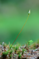 4743871229_4aab80d7d2_m.jpg