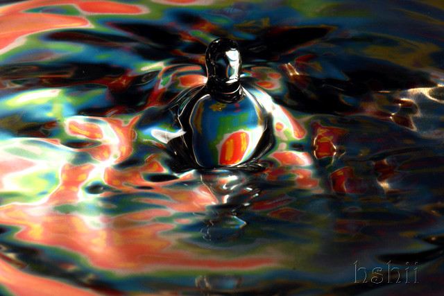 5452991366_295ab52f71_z.jpg