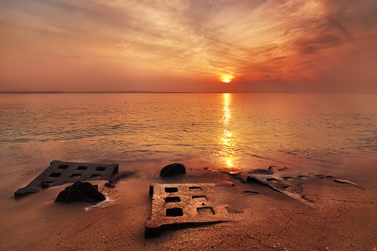Building_Blocks_Of_Life_by_Draken413o.jpg