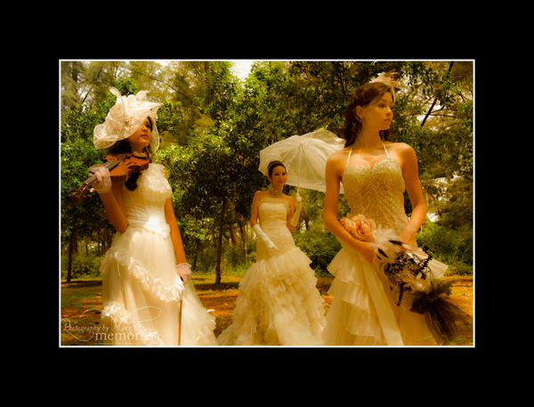 Victorian_Splendor___04_by_spect75.jpg