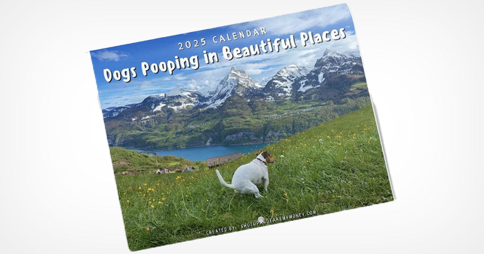 A calendar cover titled 2025 Calendar: Dogs Pooping in Beautiful Places shows a dog in a grassy field with a stunning mountain landscape in the background.