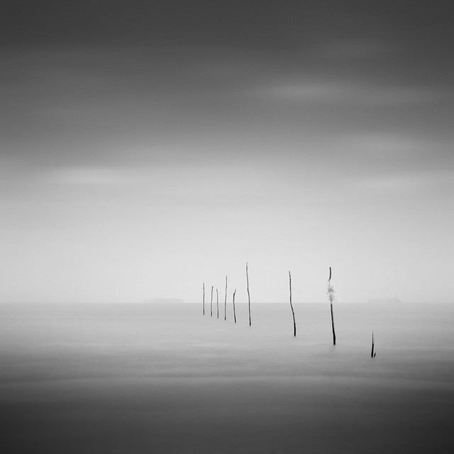 6910522302_2850660aeb_z.jpg