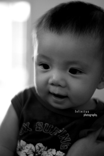 3624228599_d03c9bb088.jpg