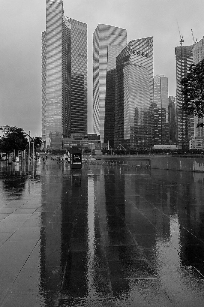 7604327130_40e31f1775_b.jpg
