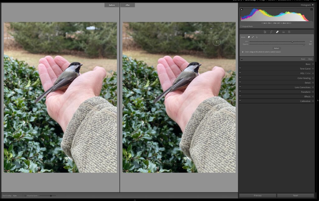 objectselect-10-1024x646.jpg