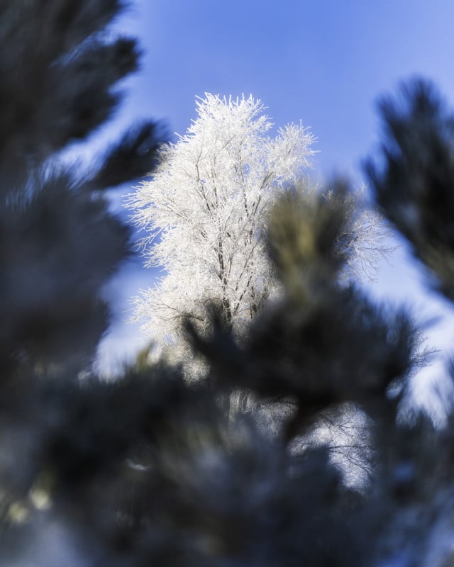 Winter_Photography_05-640x800.jpg