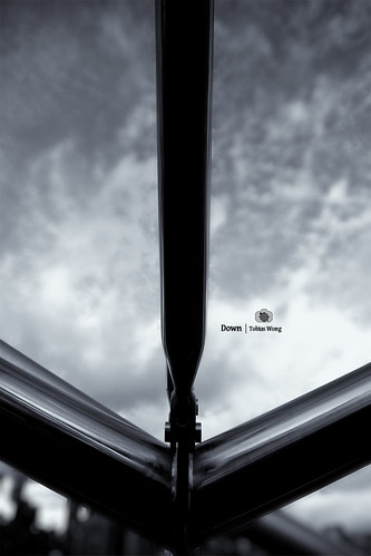 4793243785_728dc3254d.jpg