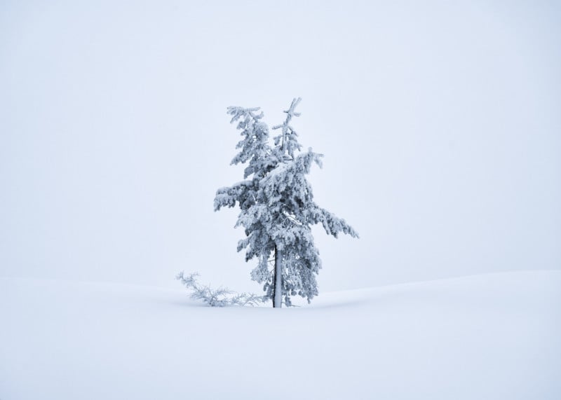 Christian-Hoiberg-Winter-Portraits-8-800x571.jpg