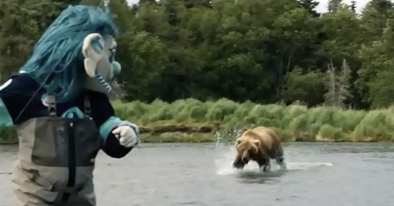 A person in a blue troll costume stands in shallow water, looking at a brown bear running through the water nearby. Green trees and grass line the background.