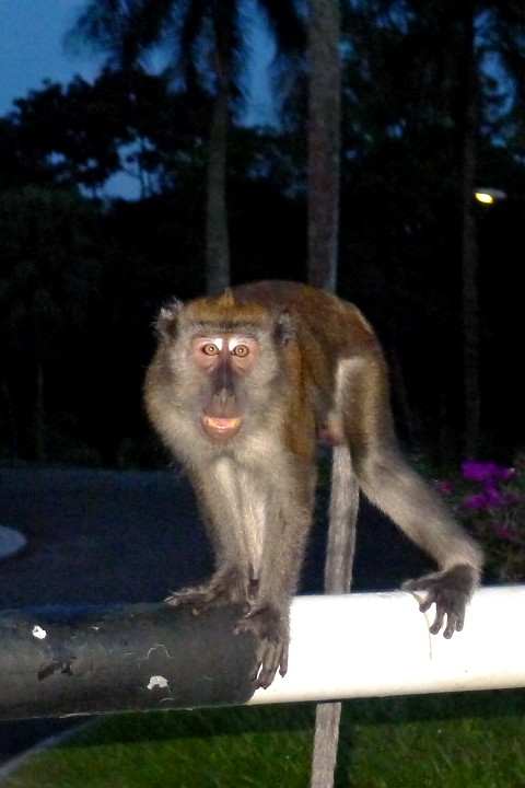 6296975098_fe0edde943_b.jpg