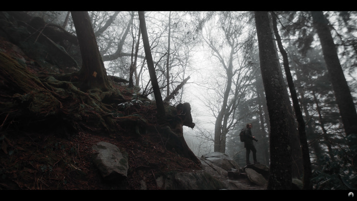 Relax by Watching Moody Landscape Photography in the Great Smoky Mountains