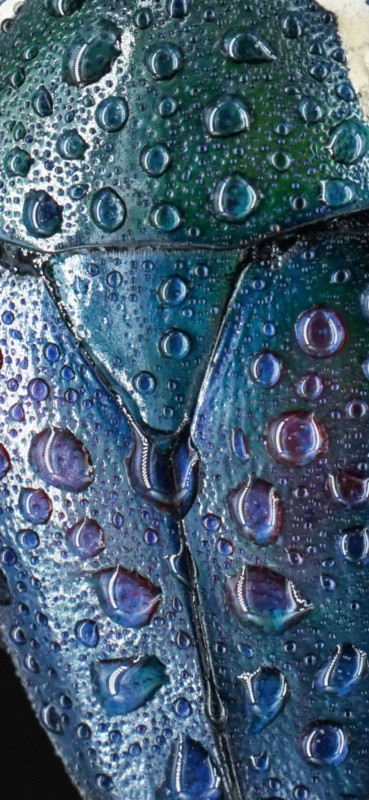 7Artisans-60mm-F2.8-II-Macro-Lens-1-369x800.jpg