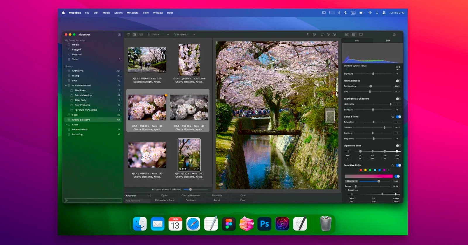 A computer screen shows a photo editing program open, displaying several images of cherry blossoms and photo adjustment tools on the right. The macOS dock with various app icons is visible at the bottom of the screen.