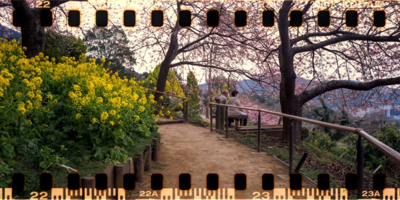 Andres_s-Zone-shot-1-800x401.jpg