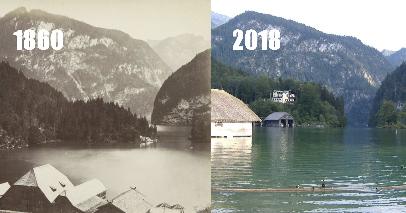 Bavarian Lake