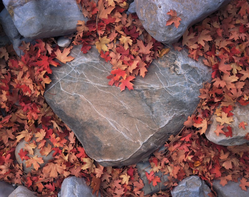 AlexBurke-HeartofStone-www.alexburkephoto-800x635.jpg