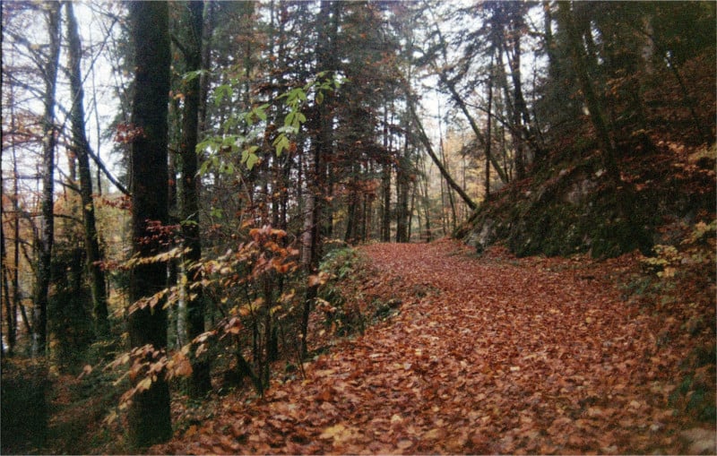 c200-10-800x509.jpg