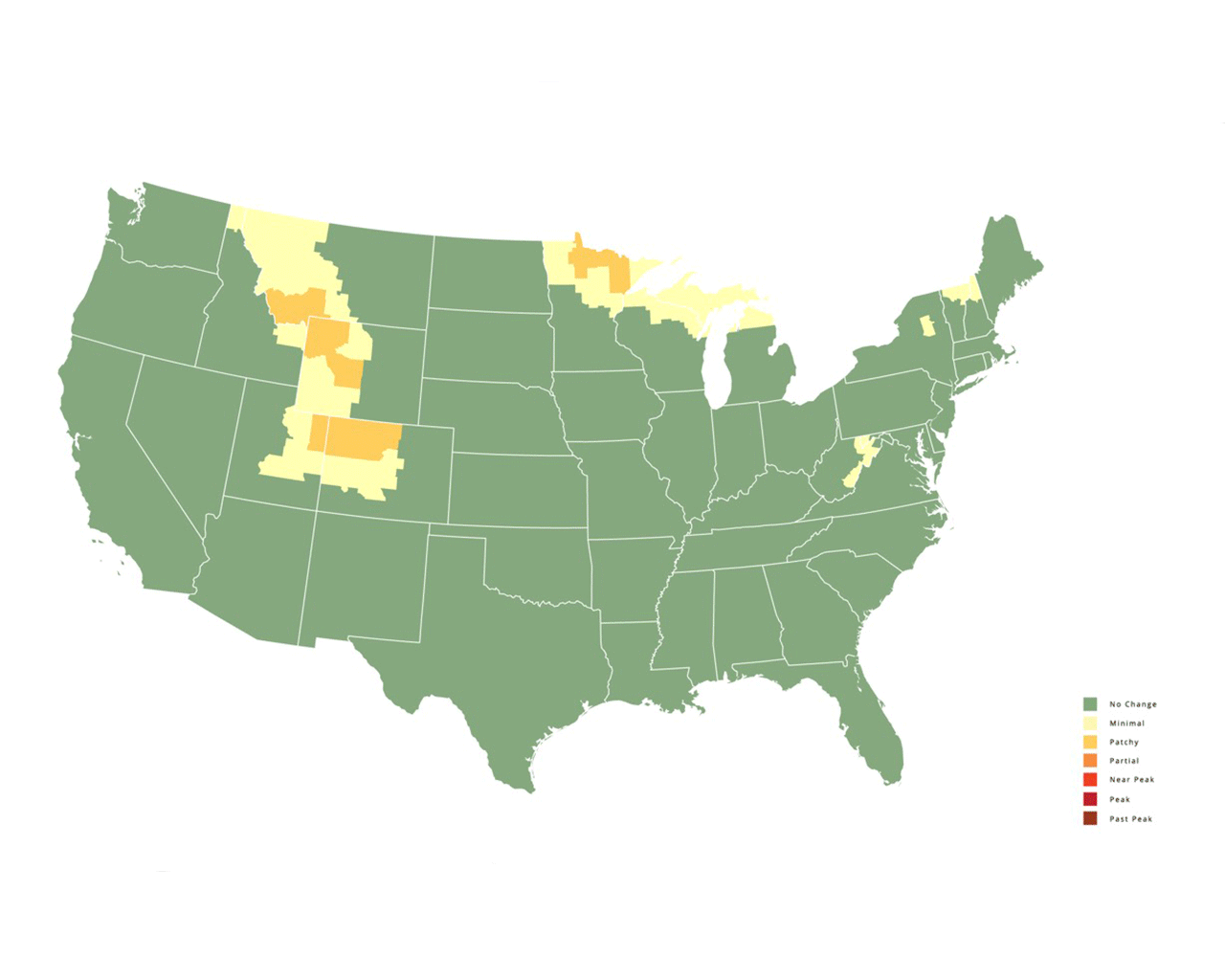 2021-fall-foliage-long.gif