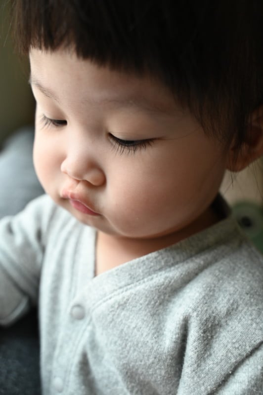 Nikkor Z 28-75mm f/2.8 example photo