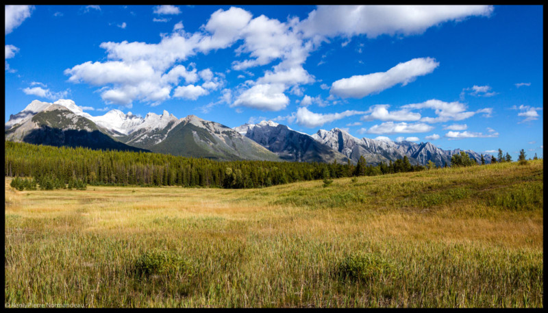 normandeau-wide-800x457.jpg