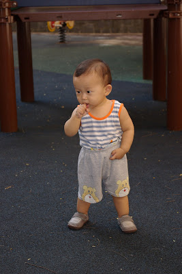 IMGP0436.JPG