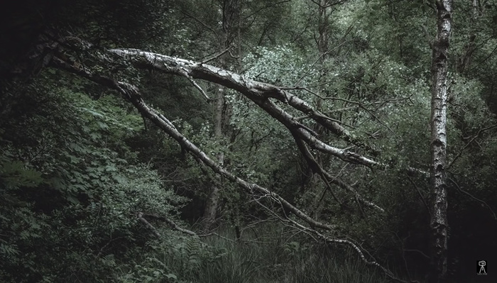 The Joy and Escape of Landscape Photography