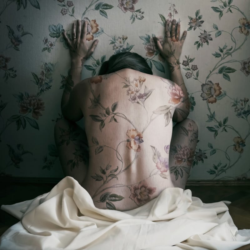 Wallflower-s-800x800.jpg