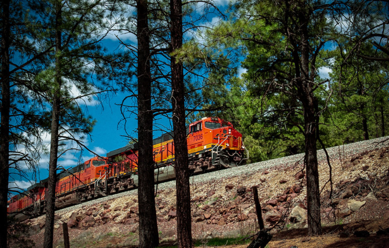 Nikon-D1-BNSF-07-800x510.jpg