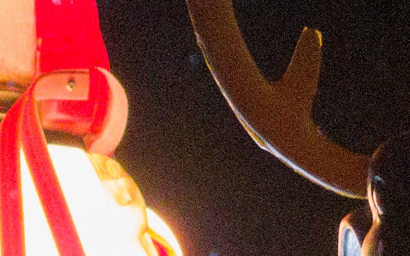 Plain_7_crop.jpg
