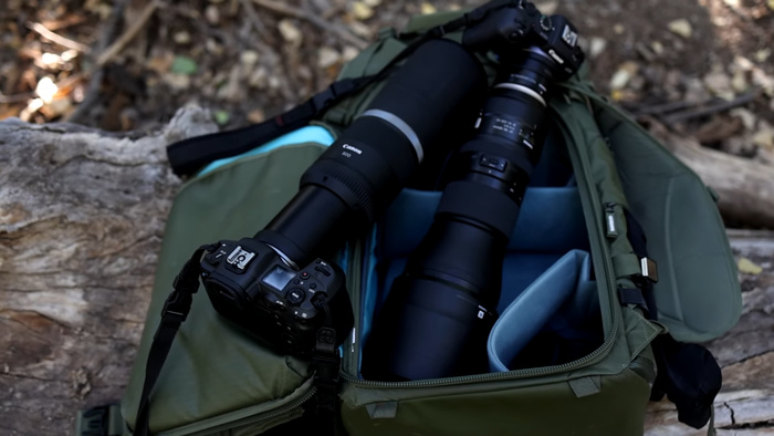 Which Camera is the Best for Wildlife Photography Out of The Canon R5 or R6?