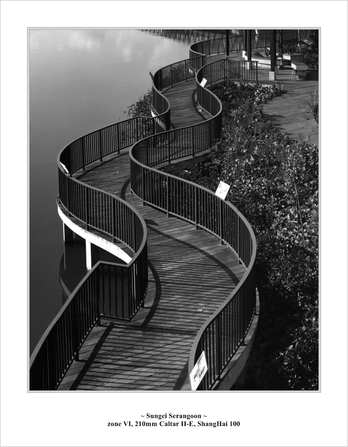 punggol_bridge001.jpg
