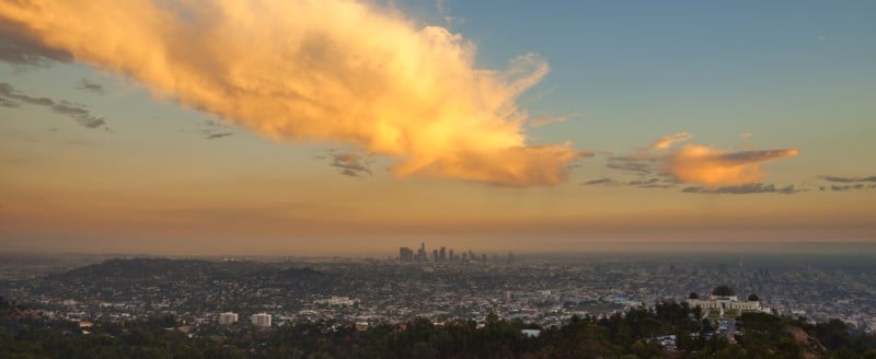Griffith_Project_Stills-6-800x328.jpg